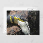 ヘビとマウス ポストカード (正面/裏面)