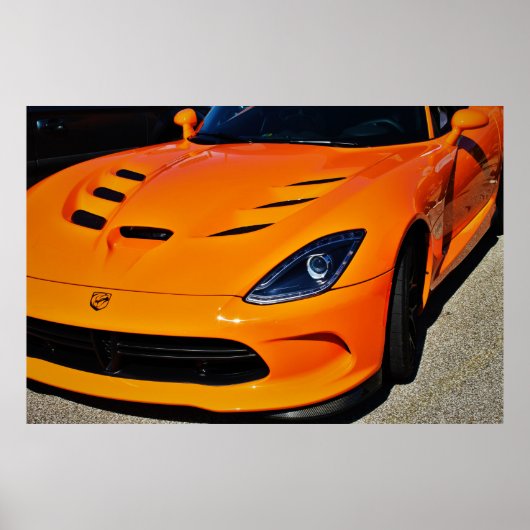 ヘビにかまれた ポスター (正面)