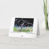 ヘビのお別れ"が化け皮を変形 カード (裏面)