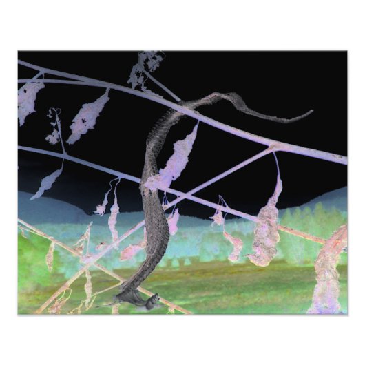 ヘビのお別れ"が化け皮を変形 フォトプリント            (正面)