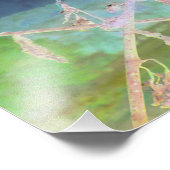 ヘビのお別れ"が化け皮を変形 フォトプリント            (角)