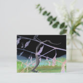 ヘビのお別れ"が化け皮を変形 ポストカード (スタンド正面)