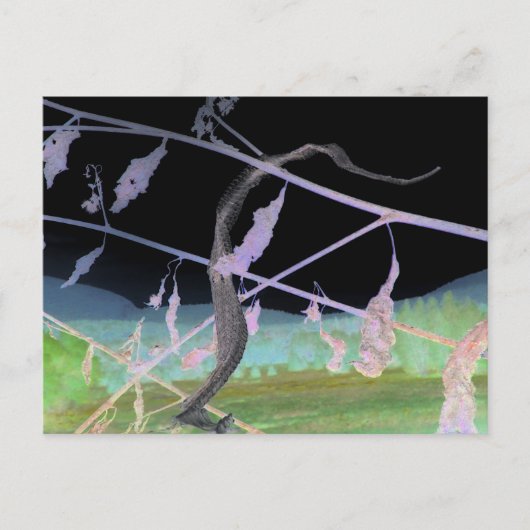 ヘビのお別れ"が化け皮を変形 ポストカード (正面)