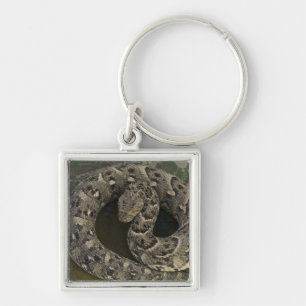 ヘビのシャルマーのアフリカのパフ加算器ビティス キーホルダー