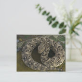 ヘビのシャルマーのアフリカのパフ加算器ビティス ポストカード (スタンド正面)