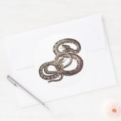 ヘビのシール ラウンドシール (封筒)