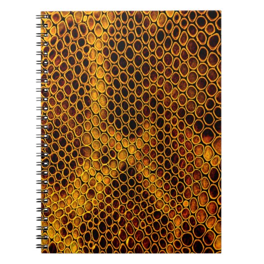 ヘビのスキンの背景 ノートブック (正面)