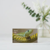 ヘビのハ虫類 名刺 (スタンド正面)