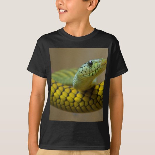 ヘビのハ虫類 Tシャツ (正面)