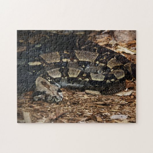 ヘビのパズル ジグソーパズル (横)