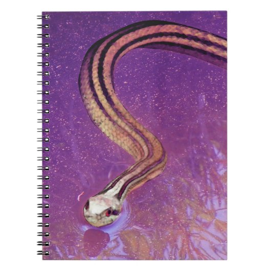 ヘビの惑星 ノートブック (正面)