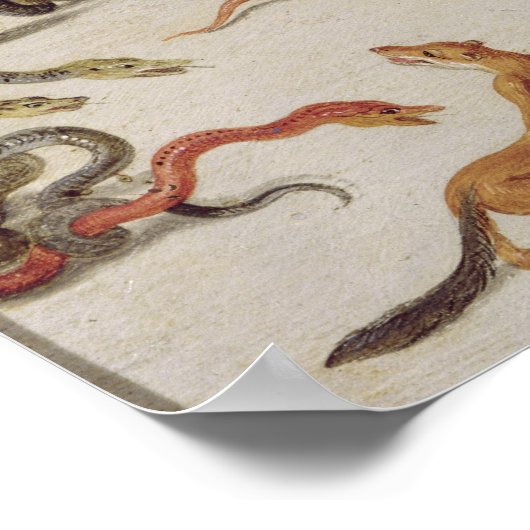 ヘビの敵 ポスター (角)