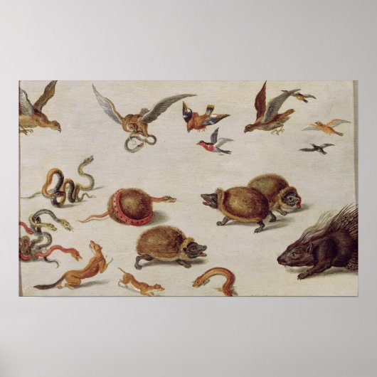 ヘビの敵 ポスター (正面)