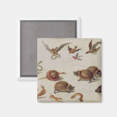 ヘビの敵 マグネット (正面/裏面)