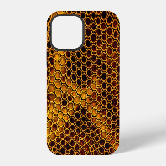 ヘビの皮の背景 iPhoneケース (裏面)
