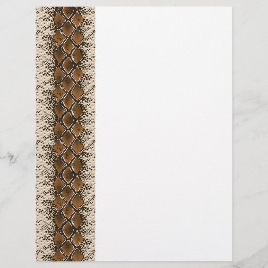 ヘビの皮 チラシ (正面)