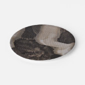 ヘビの皮 ペーパープレート (アングル)