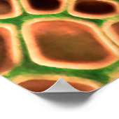 ヘビの肌の背景 ポスター (角)