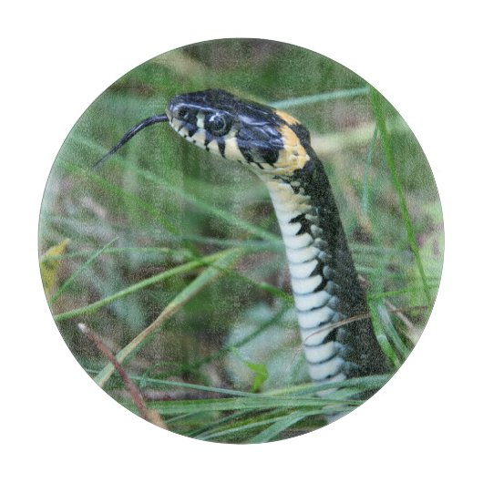 ヘビの頭 カッティングボード (正面)