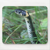 ヘビの頭 マウスパッド (正面)