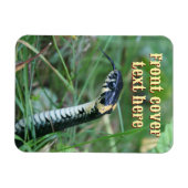 ヘビの頭 マグネット (横)