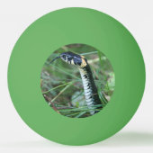 ヘビの頭 卓球ボール (正面)