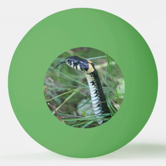 ヘビの頭 卓球ボール (正面)