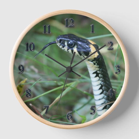 ヘビの頭 壁時計 (正面)