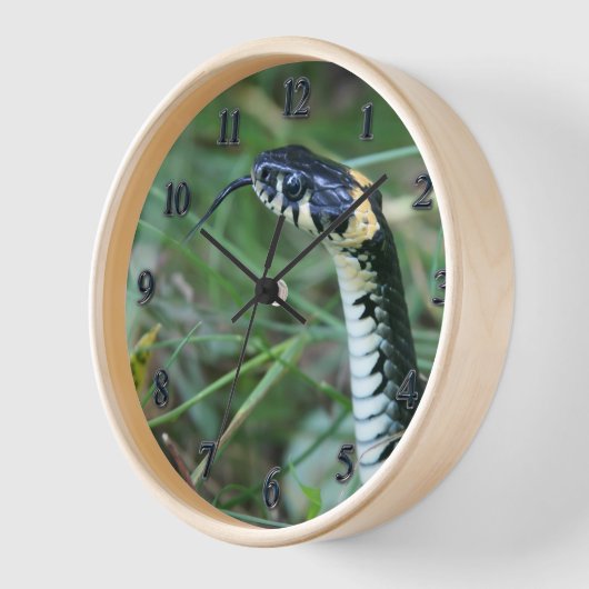 ヘビの頭 壁時計 (傾斜)