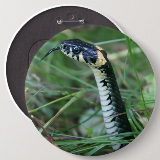 ヘビの頭 缶バッジ (正面&裏面)