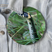 ヘビの頭 缶バッジ (インサイチュ)