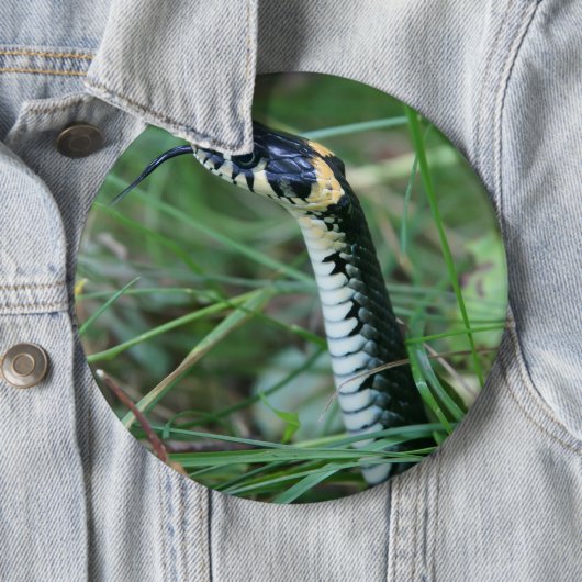 ヘビの頭 缶バッジ (インサイチュ)