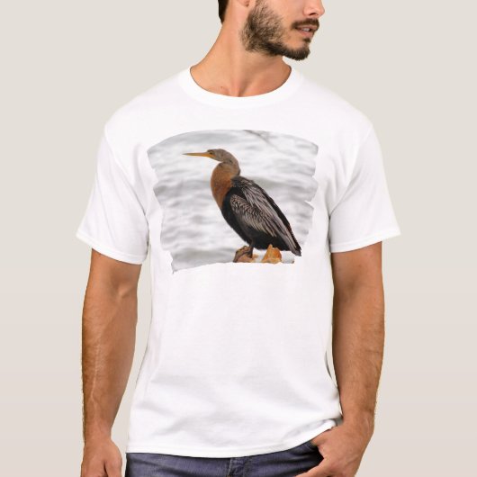 ヘビウ(カンムリヘビウ): 見張り中 Tシャツ (正面)
