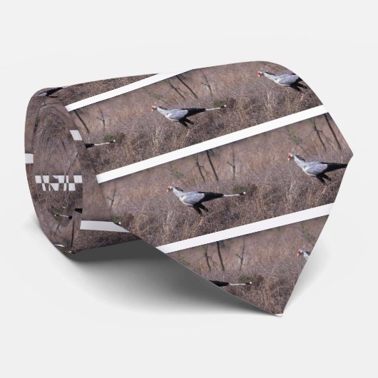 ヘビクイワシ ネクタイ (ロール)