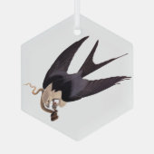 ヘビタカとヘビヴィンテージAudubon ガラスオーナメント (裏面)