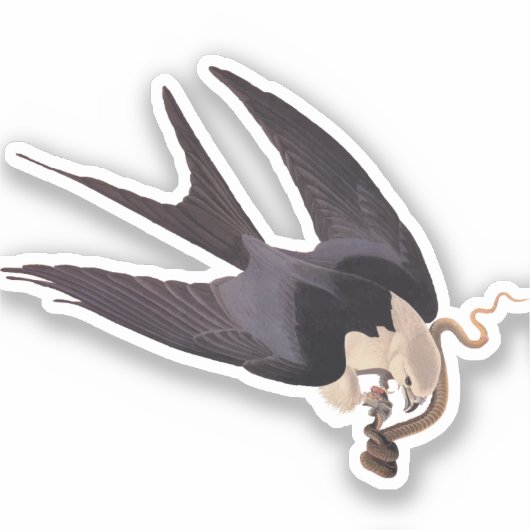 ヘビタカとヘビヴィンテージAudubon シール (正面)