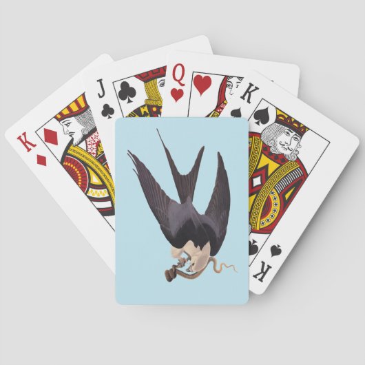 ヘビタカとヘビヴィンテージAudubon トランプ (裏面)