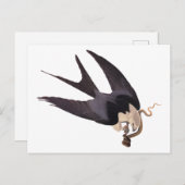 ヘビタカとヘビヴィンテージAudubon ポストカード (正面/裏面)