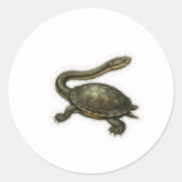 ヘビネクタートゥルー（ヘビ頸亀）イラスト - 独特な水生生物 ラウンドシール