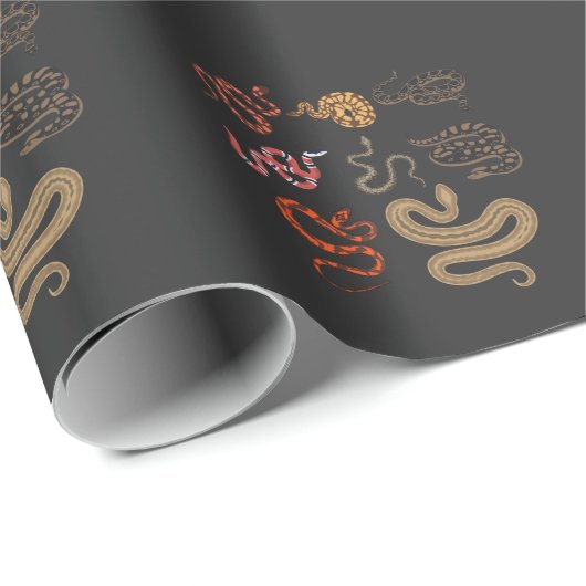 ヘビハンター爬虫類収集家動物教育 ラッピングペーパー (ロールコーナー)