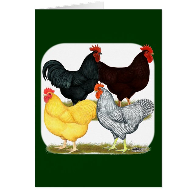 ヘビーロスターチキンカルテット (正面)