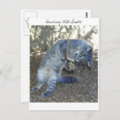 ヘビ付踊り ポストカード (正面/裏面)