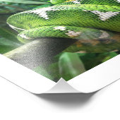 ヘビ写真 フォトプリント            (角)