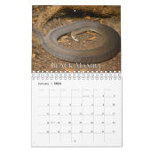 ヘビ収集ウォールカレンダー カレンダー (1月 2026)