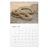 ヘビ収集ウォールカレンダー カレンダー (2月 2027)
