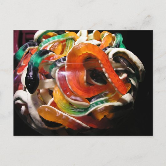 ヘビ類 ポストカード (正面)