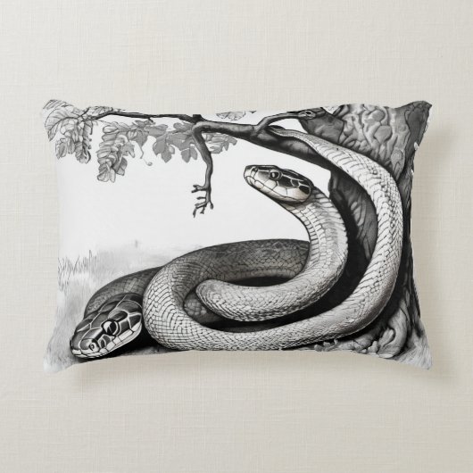 ヘビ アクセントクッション (正面)