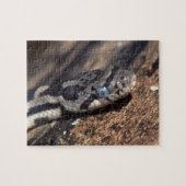 ヘビ ジグソーパズル (横)