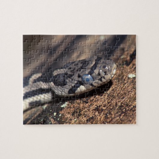 ヘビ ジグソーパズル (横)