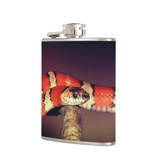 ヘビ フラスク (左)